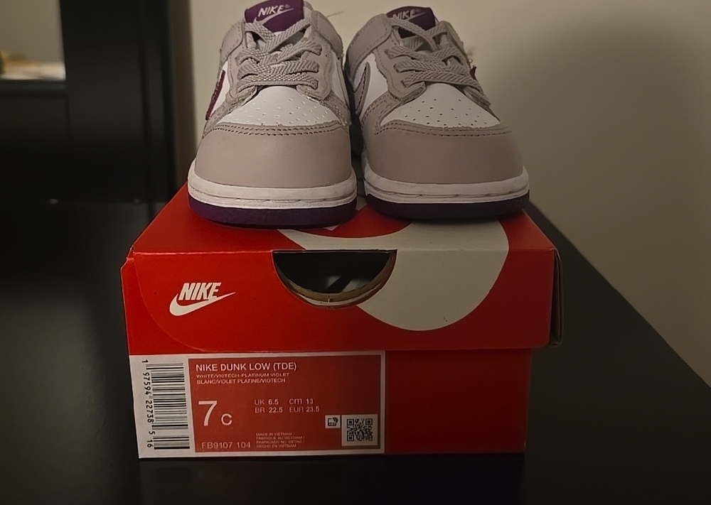 Nike Kids Dunk Low Sneakers